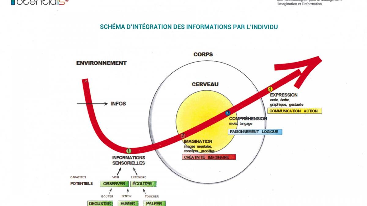 Schema integration informations